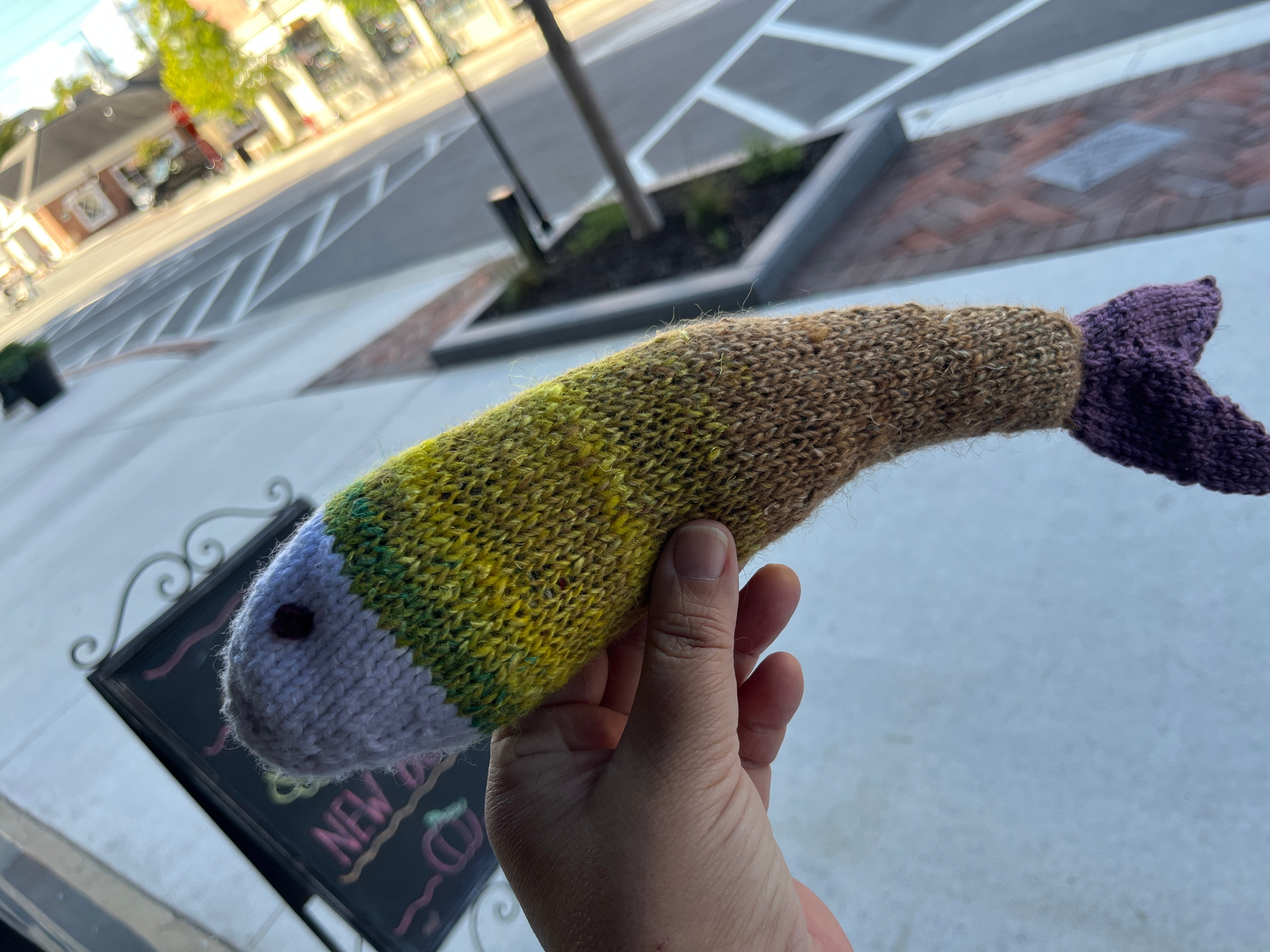 Finished fish!