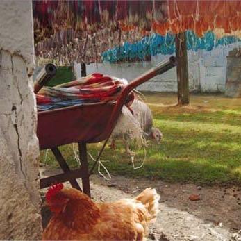 Manos del Uruguay: Our values ARE our business - String Theory Yarn Co