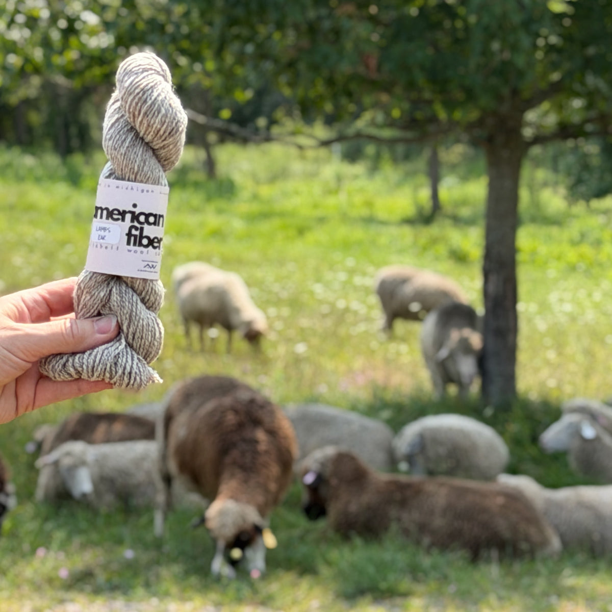 A hand holds a skein of textured yarn in front of a blurred outdoor pasture scene with sheep and trees. The yarn label reads 'american fibre'.