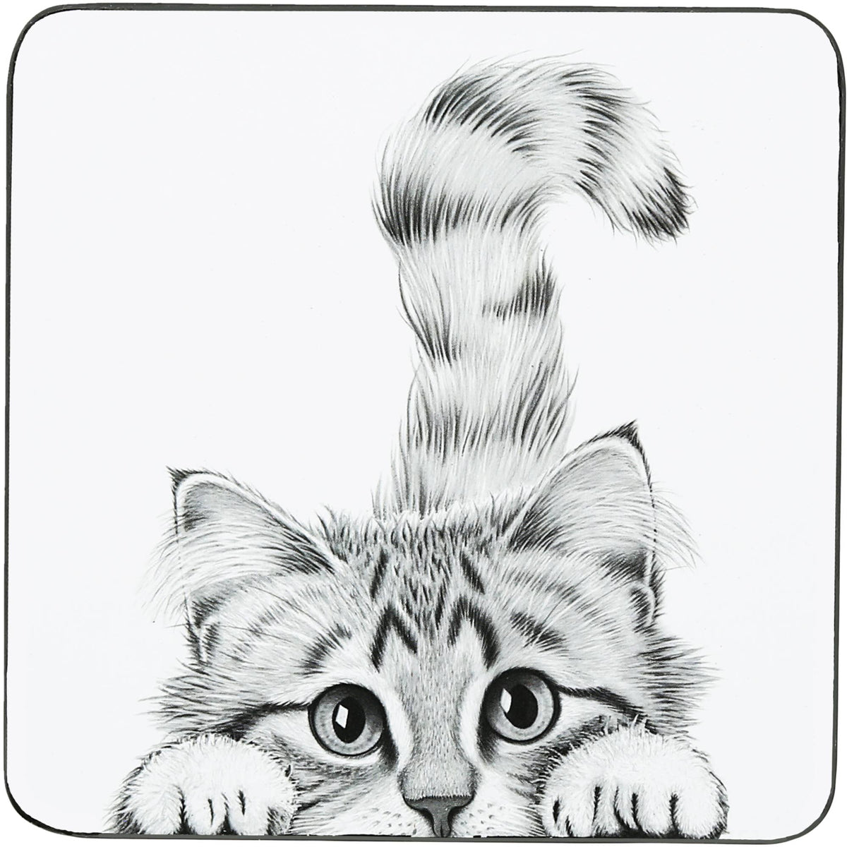 Peeking Cat Coaster