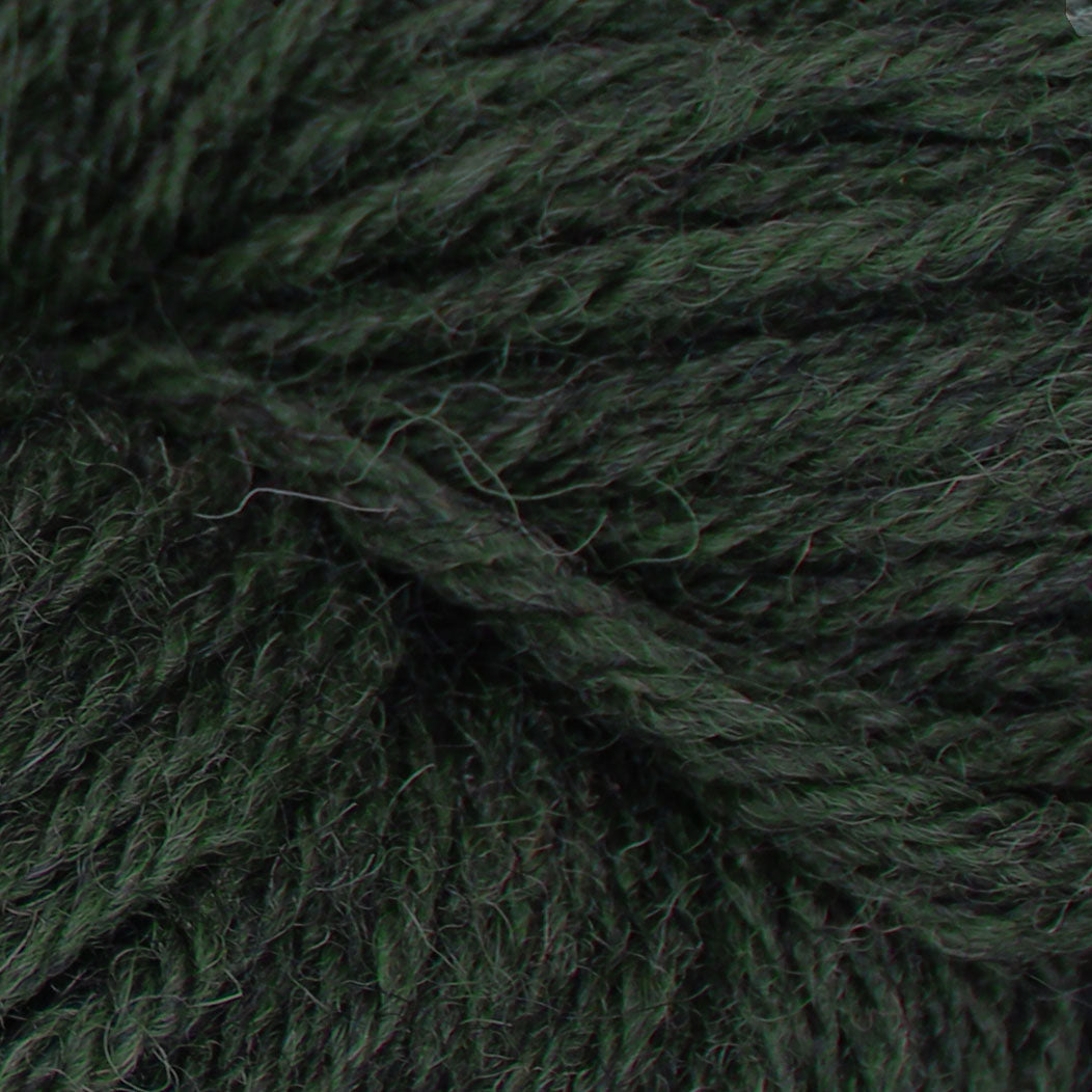 Eden DK