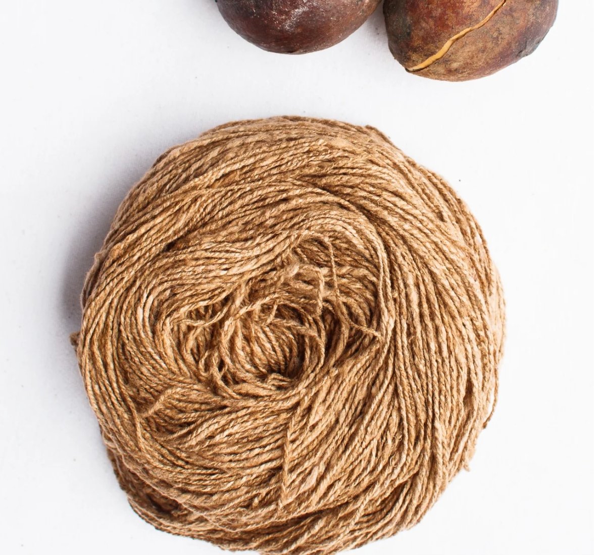 Borocera Silk - String Theory Yarn Co