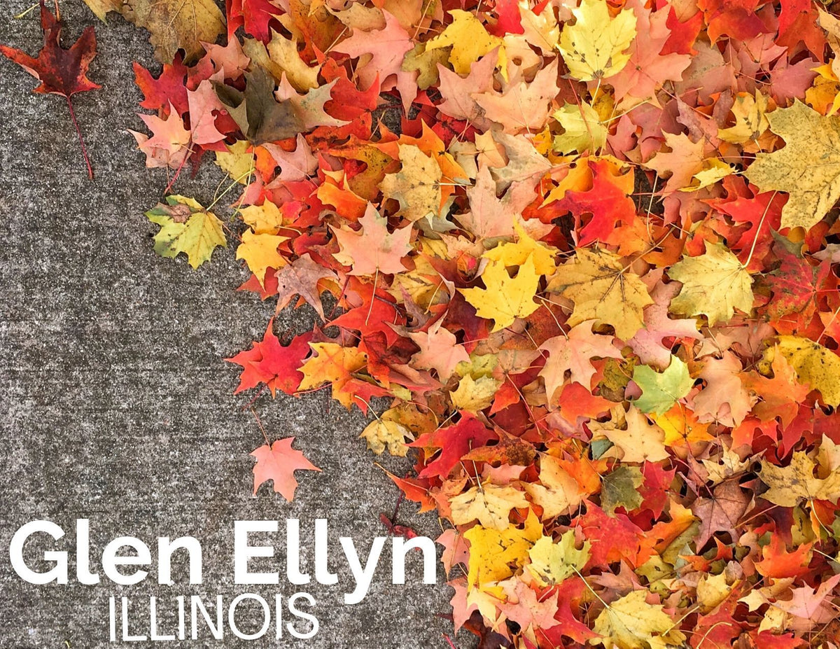 Spend the Day in Glen Ellyn, Illinois - String Theory Yarn Co