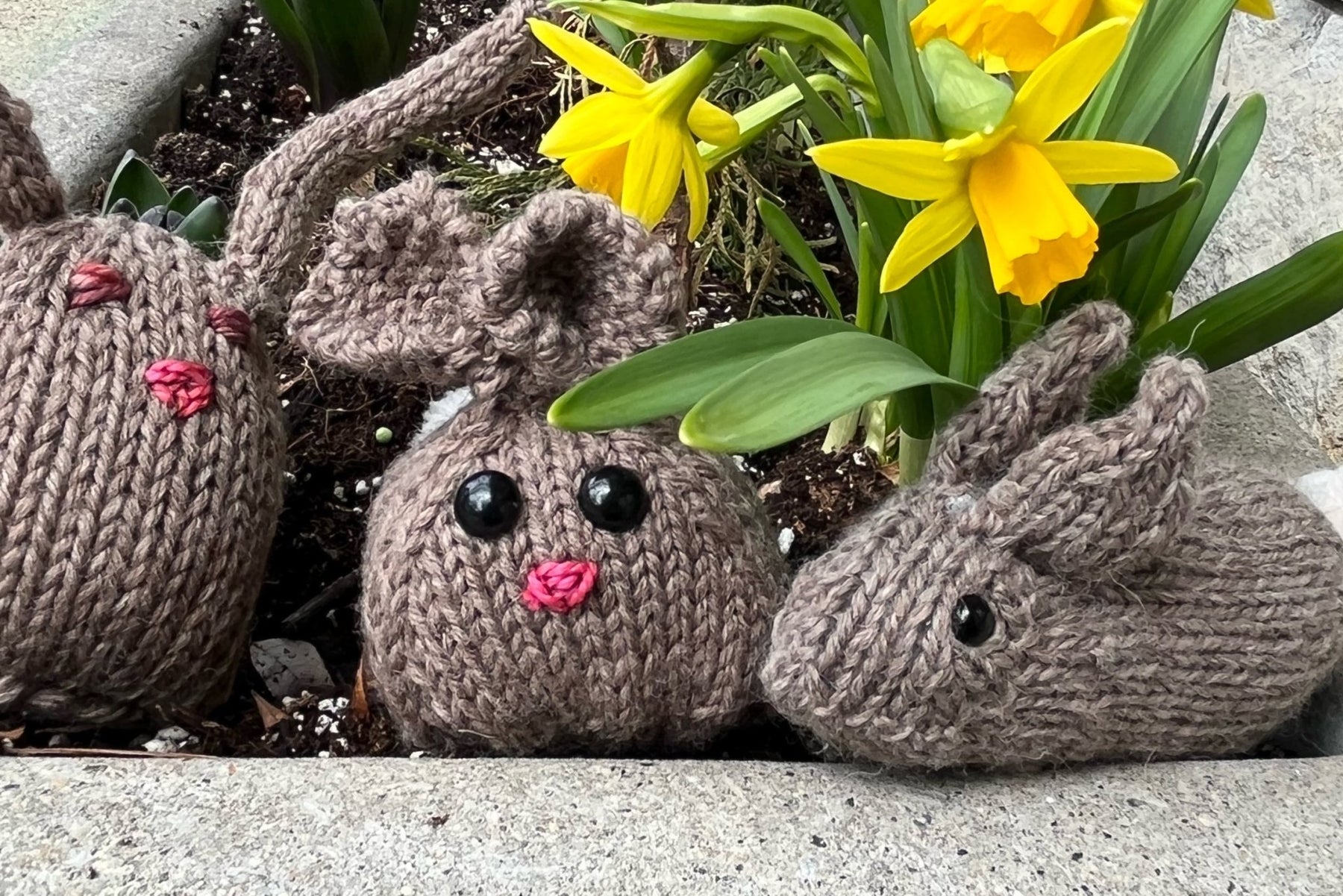 What's up, Doc? Three rabbit patterns to knit this spring - String Theory Yarn Co