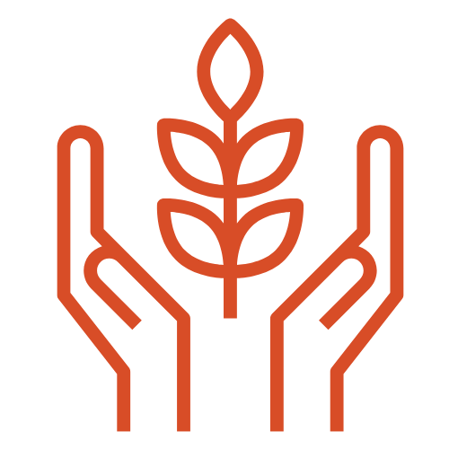 Curate Organic + Sustainable Products - String Theory Yarn Co