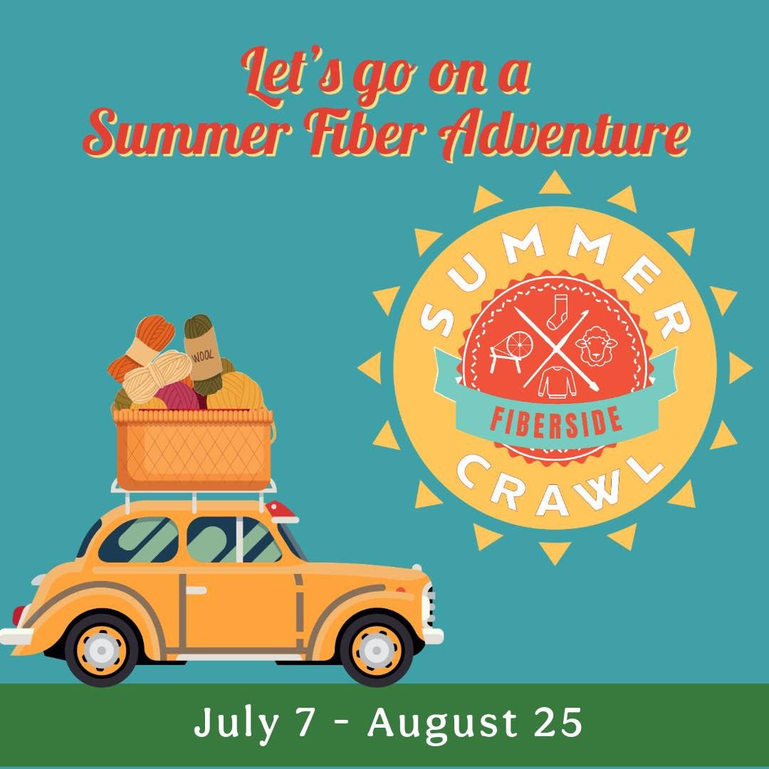 Fiberside Summer Crawl - String Theory Yarn Co