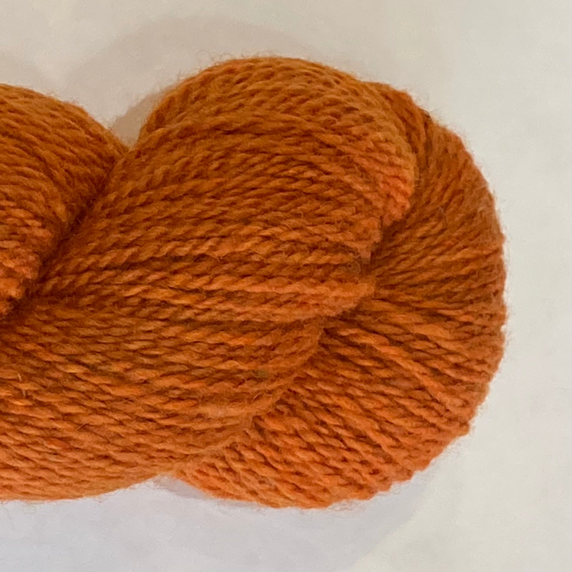 Ewetopia Sustainawool