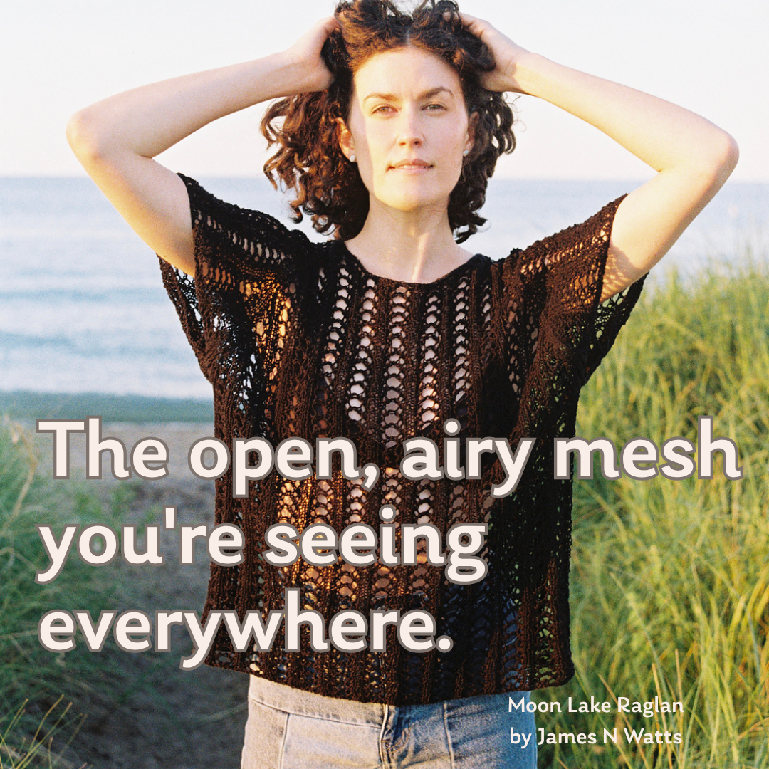 A woman standing outdoors in a grassy field with the ocean in the background, wearing a dark brown open-knit short-sleeve top. Large white text overlays the lower half of the image, and smaller text in the bottom right reads 'Moon Lake Ragtag by James N.
