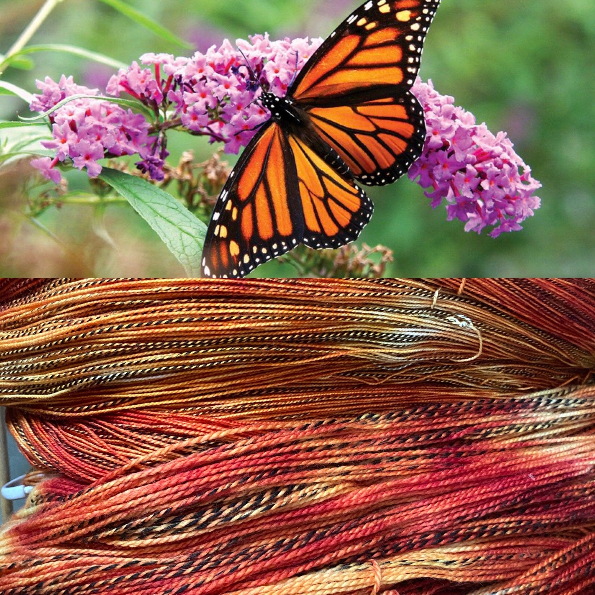 Sister Ananse Pollinator Collection: Fingering Weight