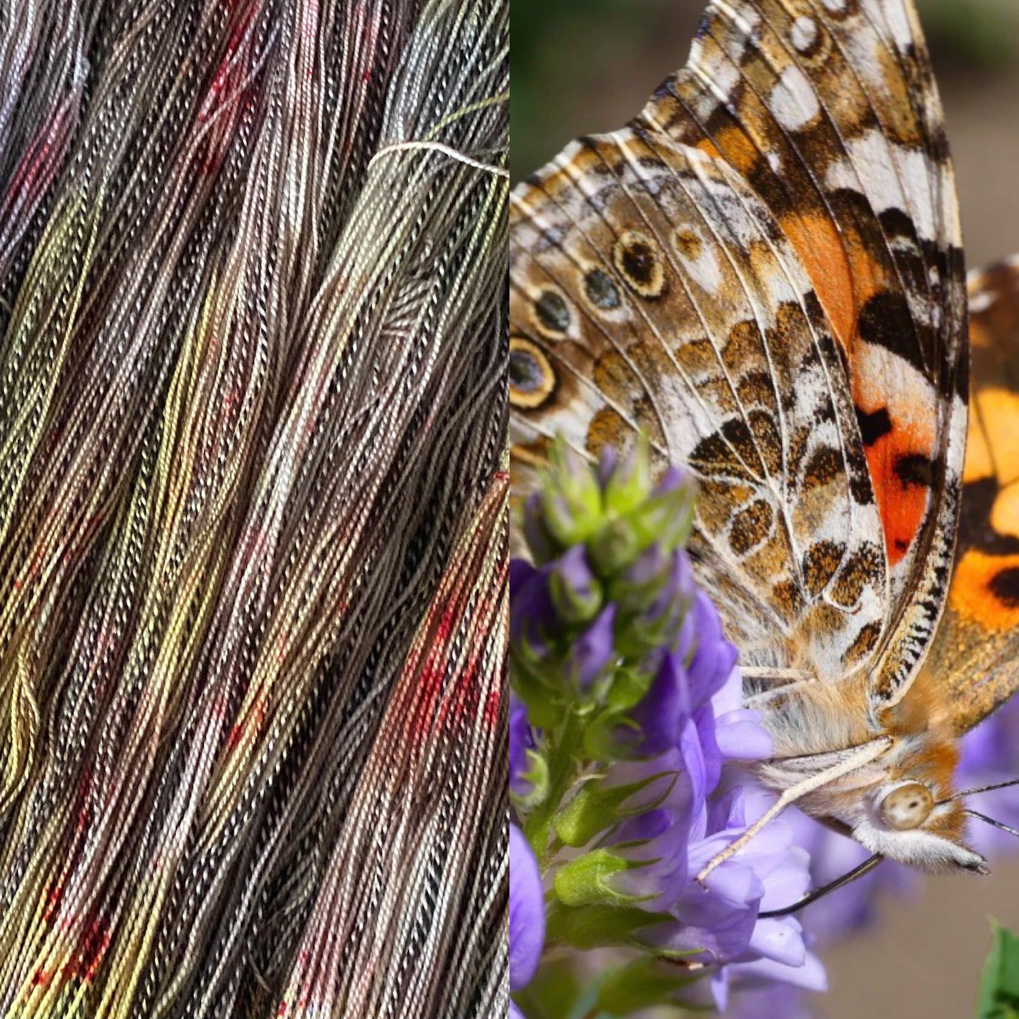 Sister Ananse Pollinator Collection: Fingering Weight