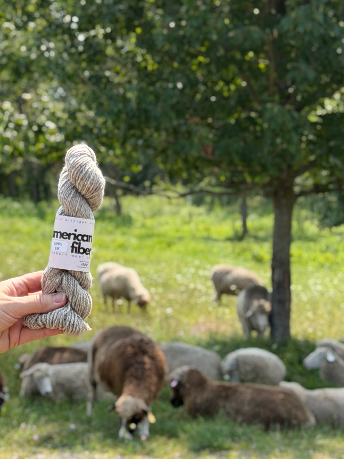 Mitchell Wool Farm Friends DK