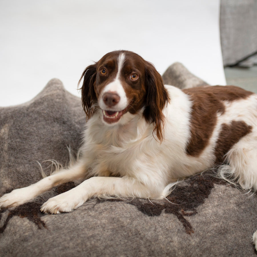 Wool Dog Blanket