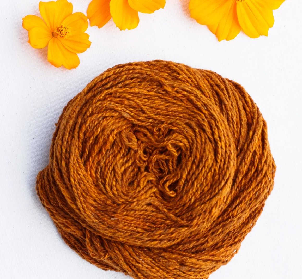 Borocera Silk - String Theory Yarn Co