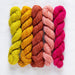 Fino Mini Kit in Yarn - Fingering | String Theory Yarn Co