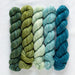 Fino Mini Kit in Yarn - Fingering | String Theory Yarn Co