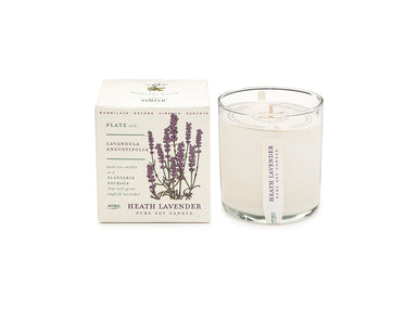 Kobo Soy Candle in Gifts | String Theory Yarn Co