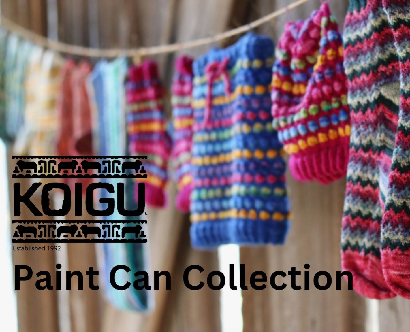Koigu Paint Can Collection - String Theory Yarn Co